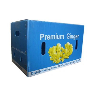 पीपी खोखला प्लास्टिक टर्नओवर बॉक्स