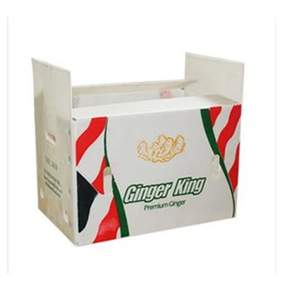 पुनर्चक्रण योग्य OEM नालीदार प्लास्टिक टर्नओवर बॉक्स