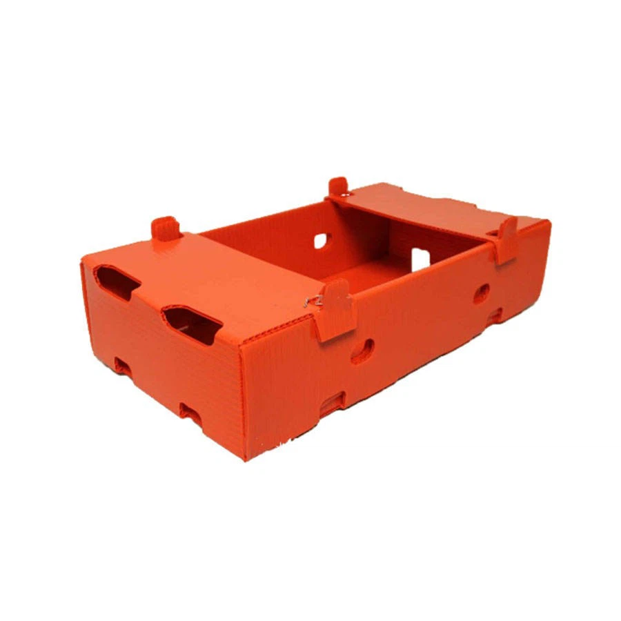 Collapsible Vegetables Corrugated Plastic Box