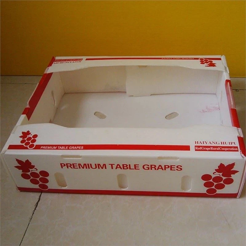 Mantis PP Corrugated Plasric Box 4