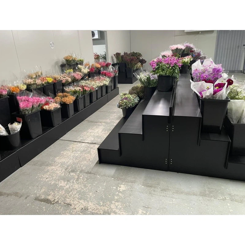 Mantis flower display stand Mantis flower display stand